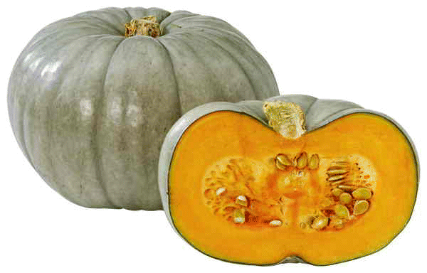 Qld Blue Pumpkin