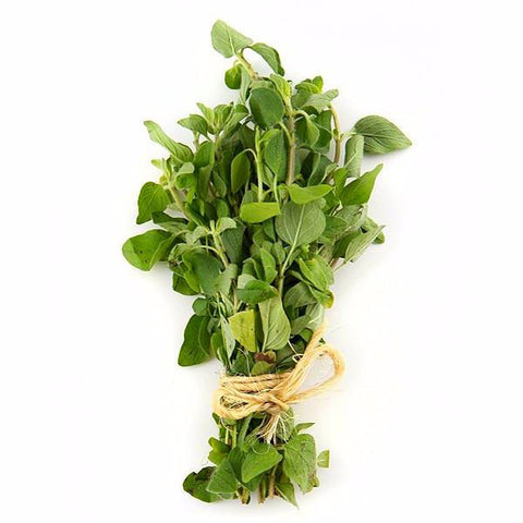 Tarragon (Pack)