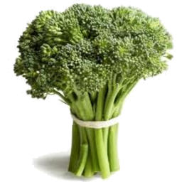 Broccoli