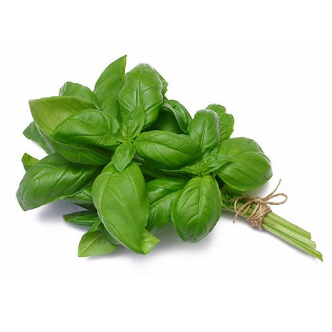 Green Alfalfa (125gm Punnet)