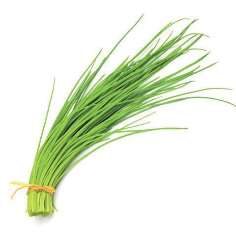 Lemon Grass (Pack)