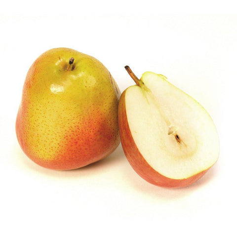 Australian Mango - KP (Each)
