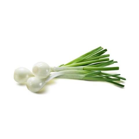 Spring Onion (Bunch)