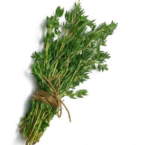 Rosemary (Pack)