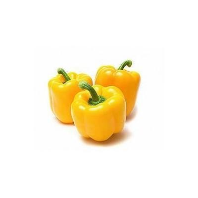 Yellow Capsicum