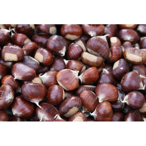 Pecan Nuts (150gm)