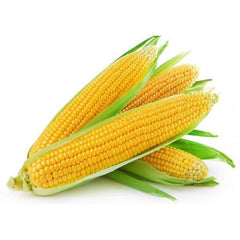 Sweet Corn (Each)