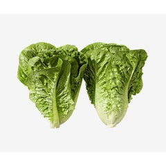 Baby Cos Lettuce (Twin Pack)