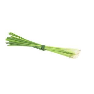 Sunshine Alfalfa & Garlic (125gm Punnet)